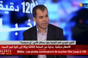 أكتوبر الوردي شهر التوعية حول سرطان الثدي.. أي مردودية ؟