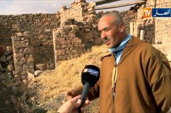 باتنة/ طاعون المجترات الصغيرة يتسبب في نفوق 250 رأسا من الماشية