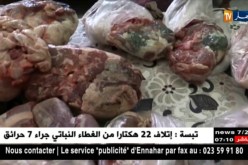 عيد الأضحى: هذا ما يجب تفاديه من أجل تجنب تعفن و تغير لون اللحوم