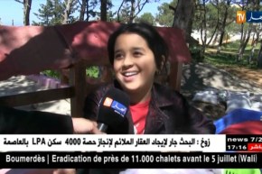 وهران: أطفال يبيعون خبز الدار على قارعة الطريق لكسب قوت يومهم ..