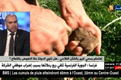 إهتمام رسمي كبير بالشأن الفلاحي.. هل تنوي الدولة حقا النهوض بالقطاع ؟