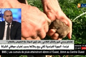 إهتمام رسمي كبير بالشأن الفلاحي.. هل تنوي الدولة حقا النهوض بالقطاع ؟