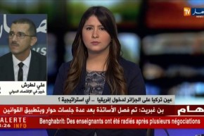 خبير في الإقتصاد الدولي :يجب أن نستغل تركيا  في إقامة مناطق تجارية حرة مع مناطق الساحل