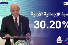محمد شرفي: نسبة المشاركة الوطنية بلغت 30.20%