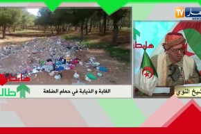 الشيخ النوي: مدمر الملاعب بحمام الضلعة.. مسؤول الغابات هابط