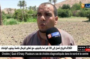 بوسعادة: الواحات تحتضر وتلوث المياه يؤرق المواطنين