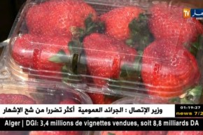 تيبازة: عيد الفراولة.. عرض لمختلف الأنواع و تشجيع للمنتجين