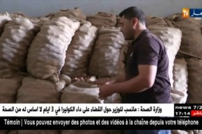 غليزان: شعبة البطاطا.. إمكانيات على الورق.. والأسعار تفضح