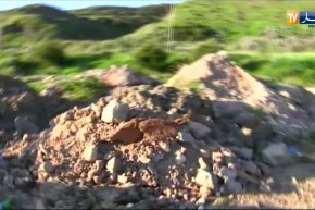 ميناء بمقاييس عالمية بعين تميموشنت.. لكن على الطريقة الجزائرية