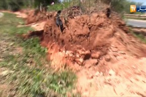 طالع هابط: شاهد ما حدث للأشجار بعد تهيئة الطريق بعين تموشنت