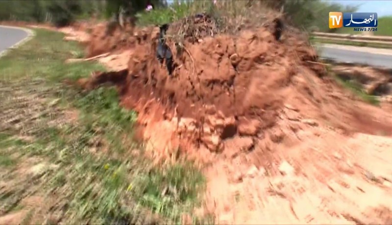 طالع هابط: شاهد ما حدث للأشجار بعد تهيئة الطريق بعين تموشنت