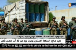 دفاع/ توقيف شاحنة محملة بـ 17400 لتر من الوقود بتمنراست
