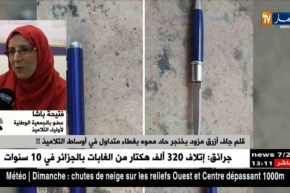 فتيحة باشا: “وزارة التجارة مسؤولة في تواجد أدوات كهذه في الأسواق..لهذا نطالب منها التدخل الفوري”