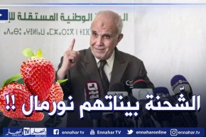 “شرفي يرد حول قضية الفراولة التي أثارت الجدل🍓🍓”الشّحنة التنافسية هي السبب لازم نتقبلو هاذ الأمور