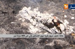 باتنة/ نشوب حريق بقرية عيون العصافير يأتي على 800 حزمة تبن