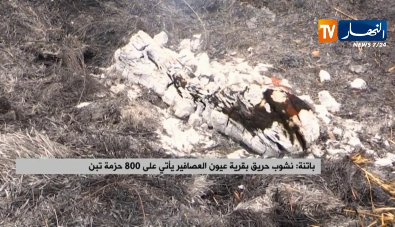 باتنة/ نشوب حريق بقرية عيون العصافير يأتي على 800 حزمة تبن