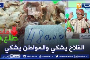 “طالع هابط: الشيخ النوي..   “الدجاج طلع شانه وقريب يلحق للخروف