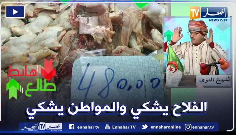 “طالع هابط: الشيخ النوي..   “الدجاج طلع شانه وقريب يلحق للخروف