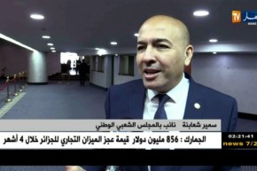 برلمان: جواز السفر الدبلوماسي يثير جدلا داخل قبة الغرفة السفلى