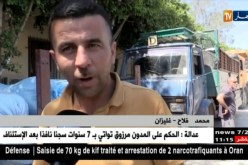 غليزان: الإنتاج الوفير للحبوب يفرض ظغط كبير على التعاونيات و جهود لإنجاح العملية