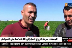 عين تموشنت: غياب ميكانزمات التسويق.. النقطة السوداء بنشاط الفلاحين