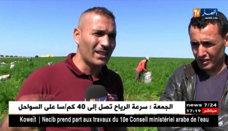 عين تموشنت: غياب ميكانزمات التسويق.. النقطة السوداء بنشاط الفلاحين