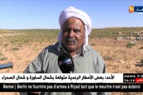 الأغواط/ نفوق 70 رأس من الخرفان بعد تلقيحها من بيطري خاص