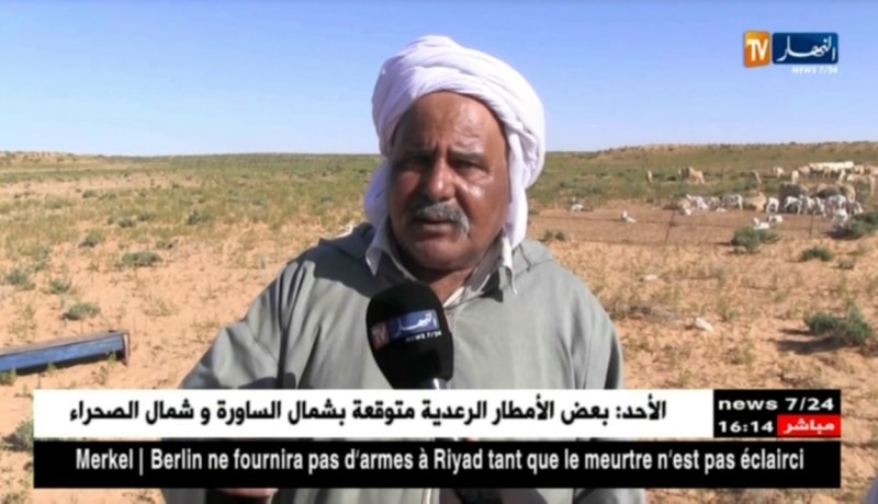 الأغواط/ نفوق 70 رأس من الخرفان بعد تلقيحها من بيطري خاص