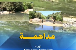 جيجل/ الدرك في مداهمة لمستعملي المياه القذرة في سقي المنتجات الفلاحية بجيمار