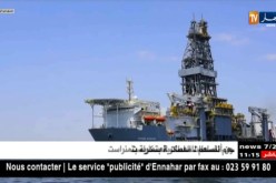الصحراء الغربية : تنويه بقرار شركة أمريكية بالتوقف عن إستيراد الفوسفات