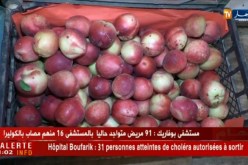 تجارة/ إقبال كبير على الفواكه الموسمية…جزائريون بشعار “زكارة في الكوليرا”