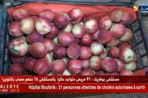 تجارة/ إقبال كبير على الفواكه الموسمية…جزائريون بشعار “زكارة في الكوليرا”