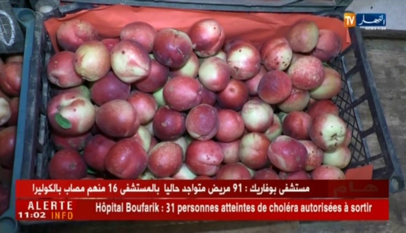 تجارة/ إقبال كبير على الفواكه الموسمية…جزائريون بشعار “زكارة في الكوليرا”