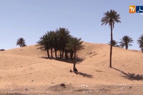 طقس: إستمرار موجة حر على المناطق الجنوبية اليوم