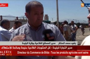 مدير المصالح الفلاحية بولاية البليدة : “التحاليل أثبتت سلامة المنتوجات الفلاحية .. !! “