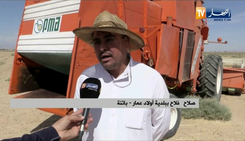 باتنة: إنطلاق عملية الحصاد والدرس على مستوى البلديات الجنوبية