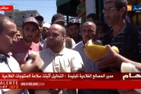 مواطنون ومسؤولون يأكلون فاكهة البطيخ على المباشر..دليلا على سلامتها