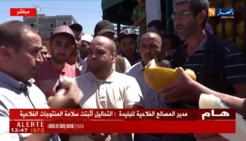 مواطنون ومسؤولون يأكلون فاكهة البطيخ على المباشر..دليلا على سلامتها