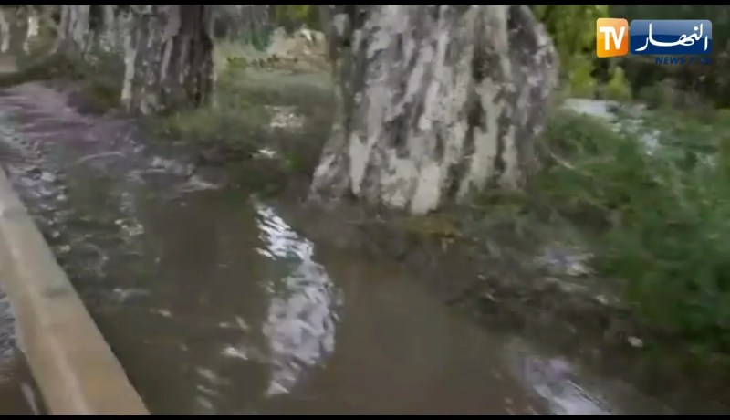 مستغانم: كاميرا النهار ترصد كارثة طبيعية بحي الشوابنية بعد سقوط الأمطار لمدة 03دقائق