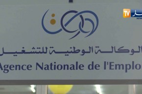 الحكومة تقرر تسوية وضعية أصحاب عقود ما قبل التشغيل بداية من نوفمبر الجاري