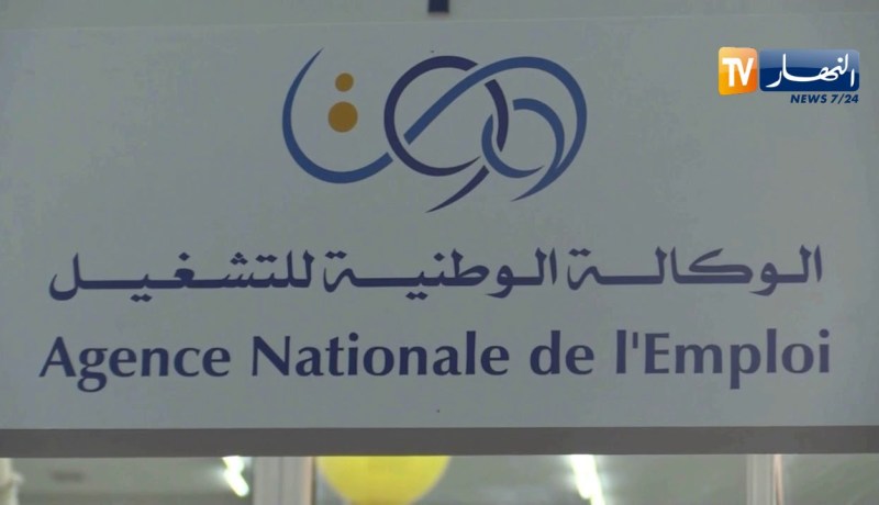 الحكومة تقرر تسوية وضعية أصحاب عقود ما قبل التشغيل بداية من نوفمبر الجاري