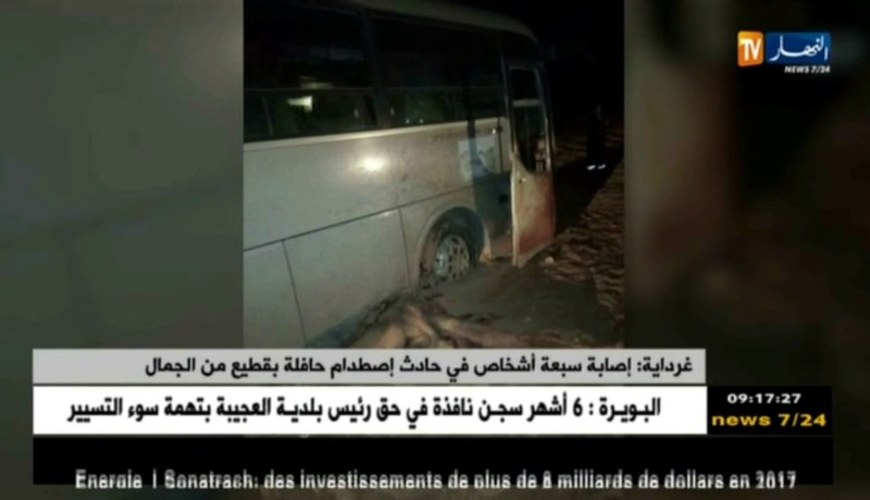 غرداية : إصابة سبعة أشخاص في حادث إصطدام حافلة بقطيع من الجمال