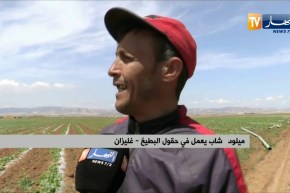 غليزان : الشباب يثابرون في الفلاحة رغم مشاق الصيام
