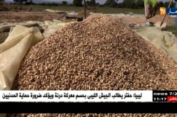 فلاحة: أراضي الجزائر تنتظر من يستثمر فيها لإنتاج الفستق والمنتجات الشبيهة
