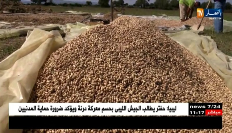 فلاحة: أراضي الجزائر تنتظر من يستثمر فيها لإنتاج الفستق والمنتجات الشبيهة