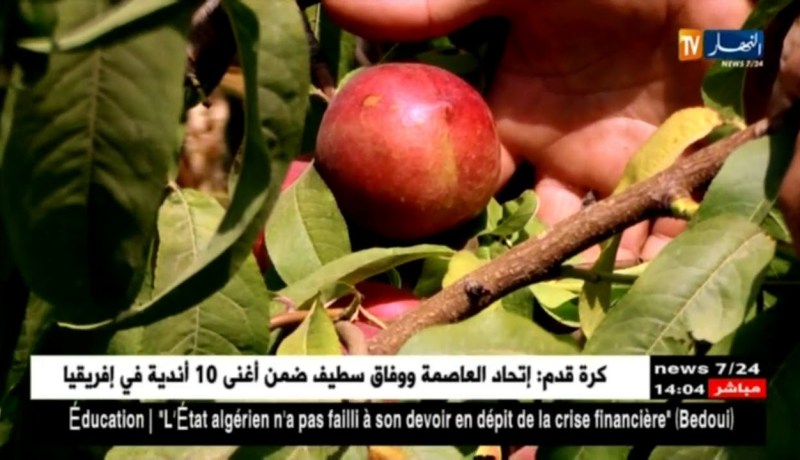 فلاحة/ الخوخ والنكتارين.. فلاحون يرفعون التحدي