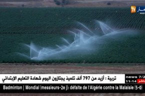 فلاحة: المزارع النموذجية.. كيف يمكن إعادة الإعتبار لها ؟