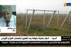 فلاحة: تحويل الأراضي الفلاحية لبناء سكنات..جدلية لاتنتهي