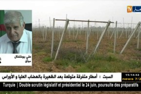 فلاحة: تحويل الأراضي الفلاحية لبناء سكنات..جدلية لاتنتهي