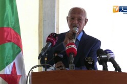 شاهد الوالي زوخ حب يرفد الميكرو قلب الدنيا
